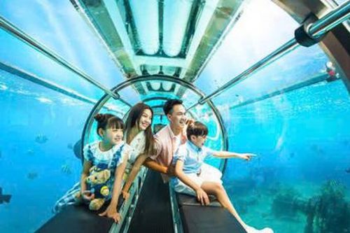 Gia hạn thời gian thí điểm hoạt động dịch vụ tàu lặn tại vịnh Nha Trang