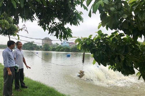 Vốn Quỹ khuyến nông TP Hà Nội hướng đến cho vay sản xuất theo chuỗi giá trị