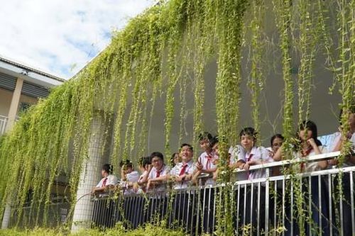Ngắm trường học Đà Nẵng 'chill' như quán cà phê