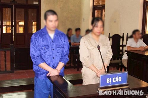 Giám đốc và kế toán công ty cùng lĩnh án vì trốn thuế