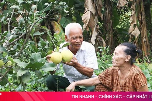 Tuổi cao nêu gương sáng