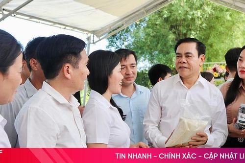 Vũ Quang cần tăng cường quảng bá, giới thiệu các sản phẩm nông nghiệp tiêu biểu