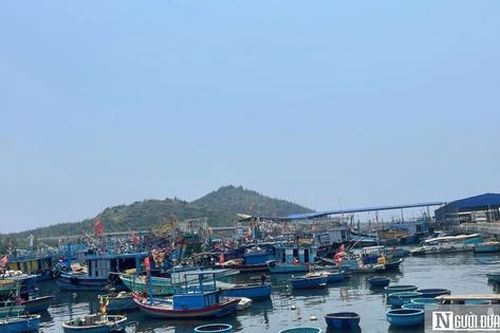 Bình Định: Chi gần 99 tỷ đồng xây khu tái định cư cho các hộ dân