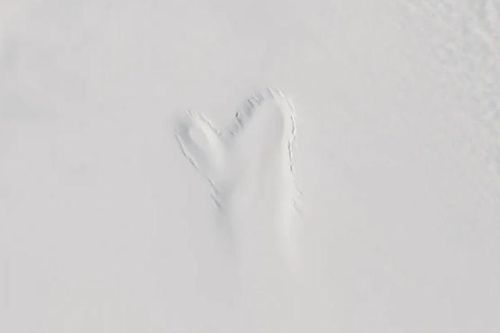Bàn tay ma khổng lồ lõm vào băng Greenland: Sự thật đáng sợ