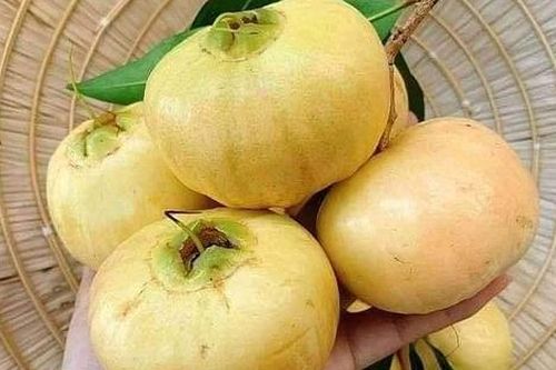 Loại quả xưa đầy ít ai ăn, giờ thành đặc sản được dân thành phố 'săn lùng' nhưng hiếm, 400.000/kg