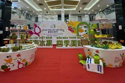 Lễ hội trái cây lần thứ nhất tại Bắc Kinh: Tinh hoa 'tứ quý mỹ vị' Việt Nam hội tụ