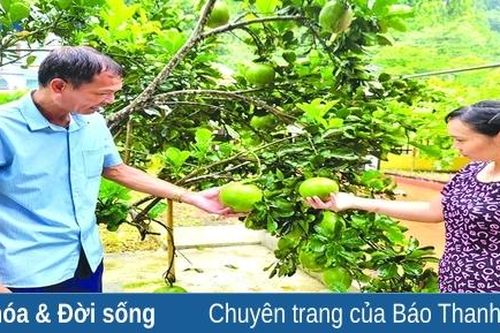 Nhịp sống mới ở Ninh Sơn