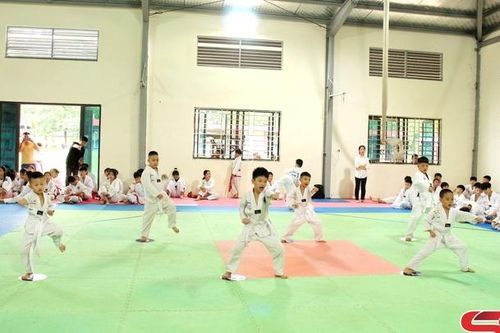 Hơn 200 võ sinh tham gia kỳ thi chuyển cấp đai môn Taekwondo