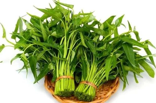 Nét quê rau muống