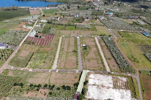 Lâm Đồng: Ban hành quy định cho phép người dân được xây dựng công trình trên đất nông nghiệp