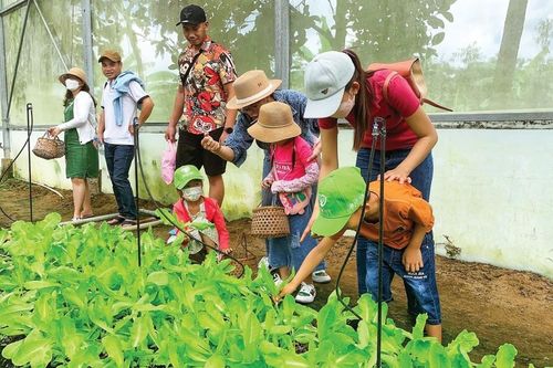 Phát triển kinh tế xanh bền vững từ mô hình du lịch trang trại