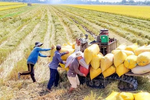 Hướng tới nền nông nghiệp xanh, bền vững