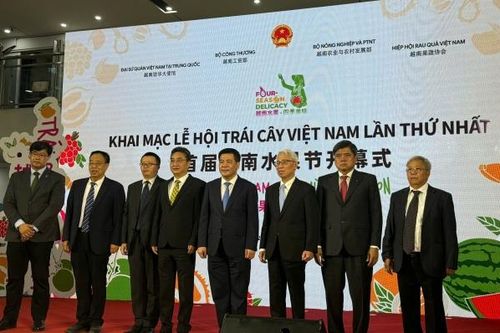 Khai mạc Lễ hội trái cây Việt Nam - Trung Quốc
