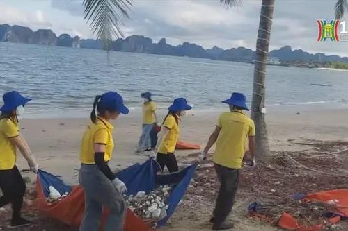 Chung tay làm sạch vịnh Hạ Long