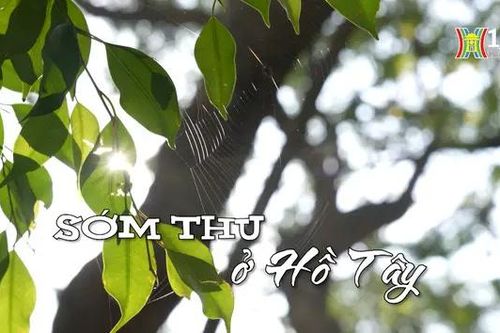Sớm thu ở Hồ Tây | Nhịp sống Hà Nội | 29/09/2024