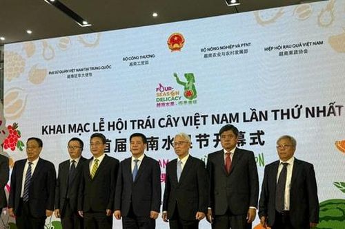 Khai mạc Lễ hội trái cây Việt Nam lần thứ nhất tại Trung Quốc