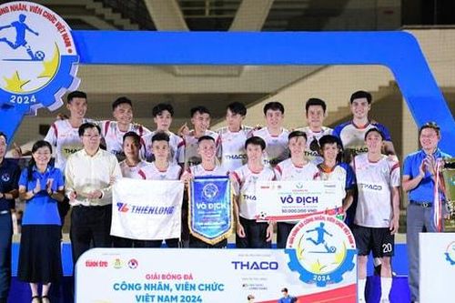 Giải bóng đá công nhân, viên chức Việt Nam 2024: Công đoàn Đồng Nai 1 vô địch khu vực thành phố Hồ Chí Minh