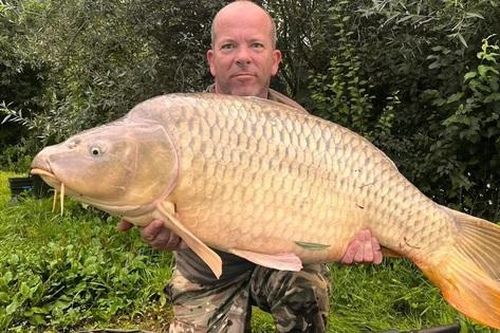 Người đàn ông câu được con cá chép khổng lồ nặng gần 20kg
