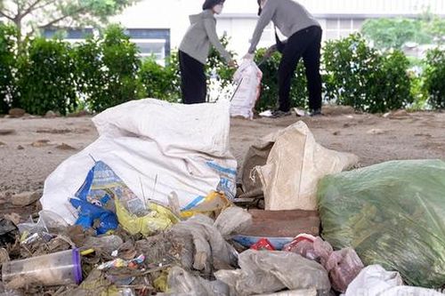 Hà Nội: Gần 200 tình nguyện viên chung tay nhặt rác bảo vệ môi trường