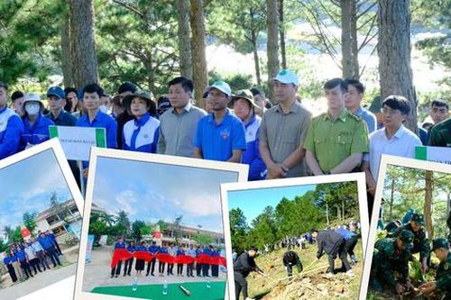 Tuổi trẻ Lâm Đồng, Khánh Hòa tham gia đẩy mạnh các hoạt động môi trường, xã hội