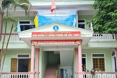 Khởi tố 4 cán bộ rừng phòng hộ vì 'thu phí' người hái măng
