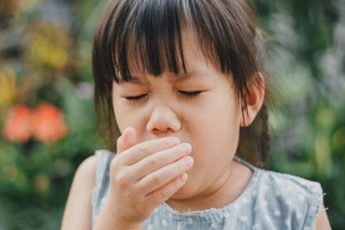 Nguyên nhân gây ho đờm lâu ngày không dứt