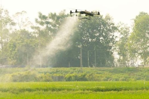 Nhiều lợi ích khi ứng dụng máy bay không người lái trong bảo vệ thực vật