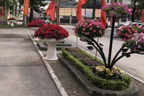 Diện mạo đô thị huyện Mỹ Đức từng bước hiện đại