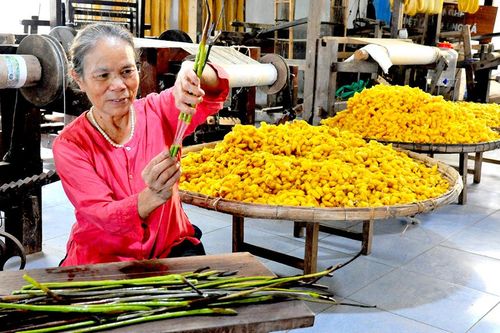 Độc đáo cách dệt lụa từ sợi tơ sen