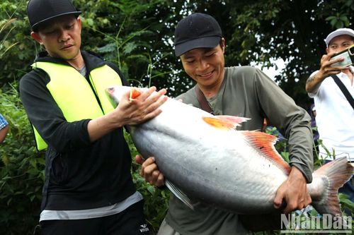 Người dân bắt cá sau khi thủy điện lớn nhất miền nam ngưng xả tràn