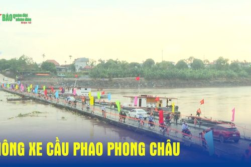 Thông xe cầu phao Phong Châu