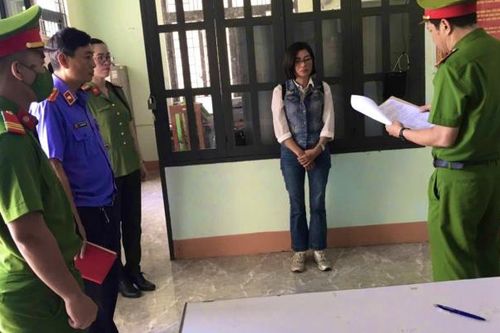 Gia Lai: Khởi tố, bắt tạm giam một phụ nữ thuê người đốn hạ trái phép 344 cây gỗ