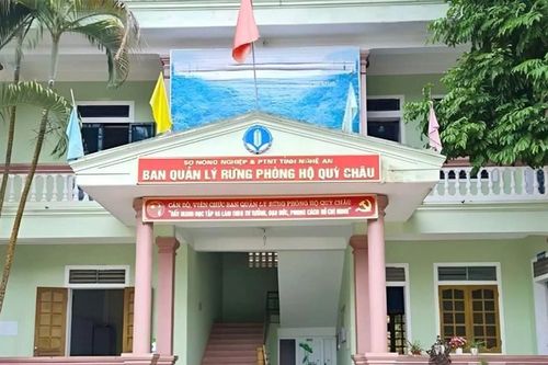 Nhận tiền của người hái măng, 4 cán bộ Ban quản lý rừng phòng hộ bị khởi tố