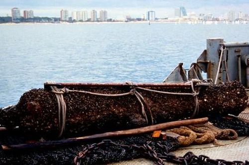 Những kho báu dưới đáy đại dương