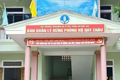 Nhận tiền rồi để dân vào rừng khai thác, 4 cán bộ BQL rừng phòng hộ bị khởi tố