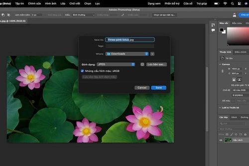Photoshop chính thức ra bản tiếng Việt, giao diện được 'bản địa hóa'
