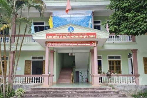 Lý do bất ngờ 4 cán bộ Ban Quản lý rừng phòng hộ bị khởi tố