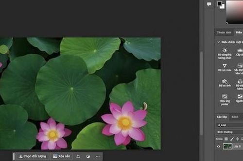 Không chỉ giao diện, Adobe Việt hóa luôn cả bài học trong Photoshop