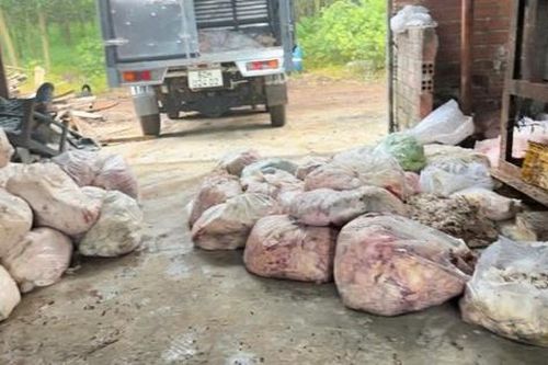 Phát hiện cơ sở chế biến mỡ, da động vật trái phép