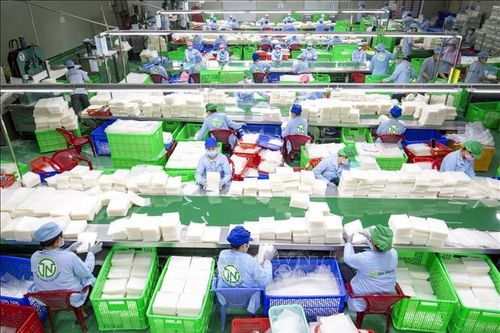 Cấp bách hỗ trợ doanh nghiệp sau bão lũ