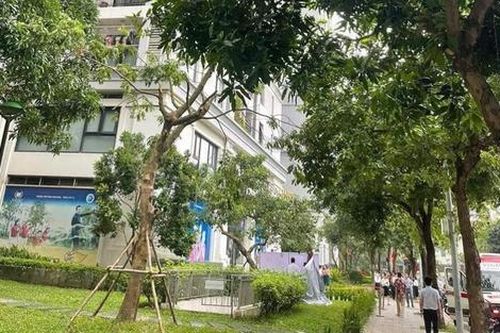 Thương tâm vụ việc bé trai 5 tuổi rơi từ tầng 22 chung cư xuống đất tử vong ở Hà Nội