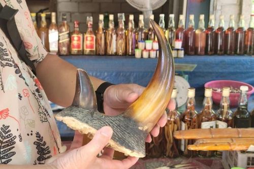 Gỡ bỏ các sản phẩm liên quan động vật hoang dã trên sàn thương mại điện tử, mạng xã hội