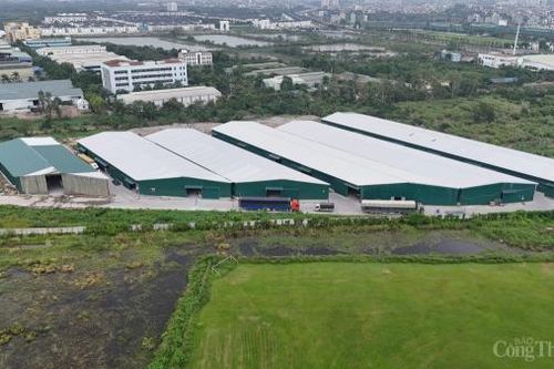 Hà Nội: Dự án nhà ở treo gần 20 năm bị 'hô biến' thành nhà xưởng rộng hàng chục nghìn m2