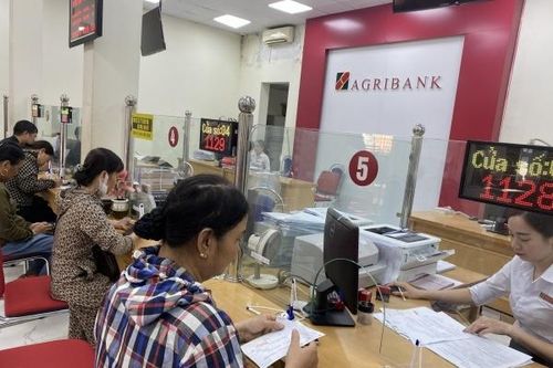 Hải Phòng: Sẵn sàng giãn, hoãn nợ tiếp sức cho người dân, doanh nghiệp sau bão số 3