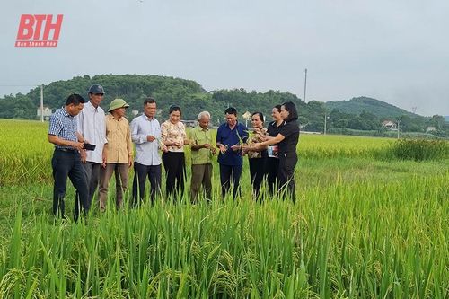 Xây dựng đội ngũ cán bộ cơ sở là người dân tộc thiểu số (Bài 1): Chọn 'hạt giống đỏ'