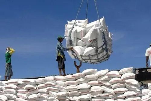 Ấn Độ nới lỏng hạn chế xuất khẩu gạo