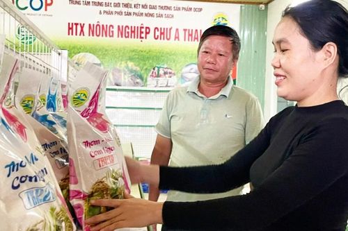 Gia Lai tháo gỡ khó khăn về vốn cho hợp tác xã phát triển