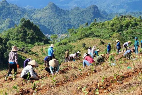 Bài 1: Sức bật từ nghị quyết