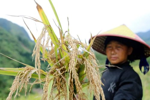 Nậm Pung - Nơi con lũ đi qua