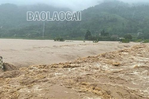 UBND tỉnh chỉ đạo các ngành, địa phương chủ động ứng phó với mưa lớn